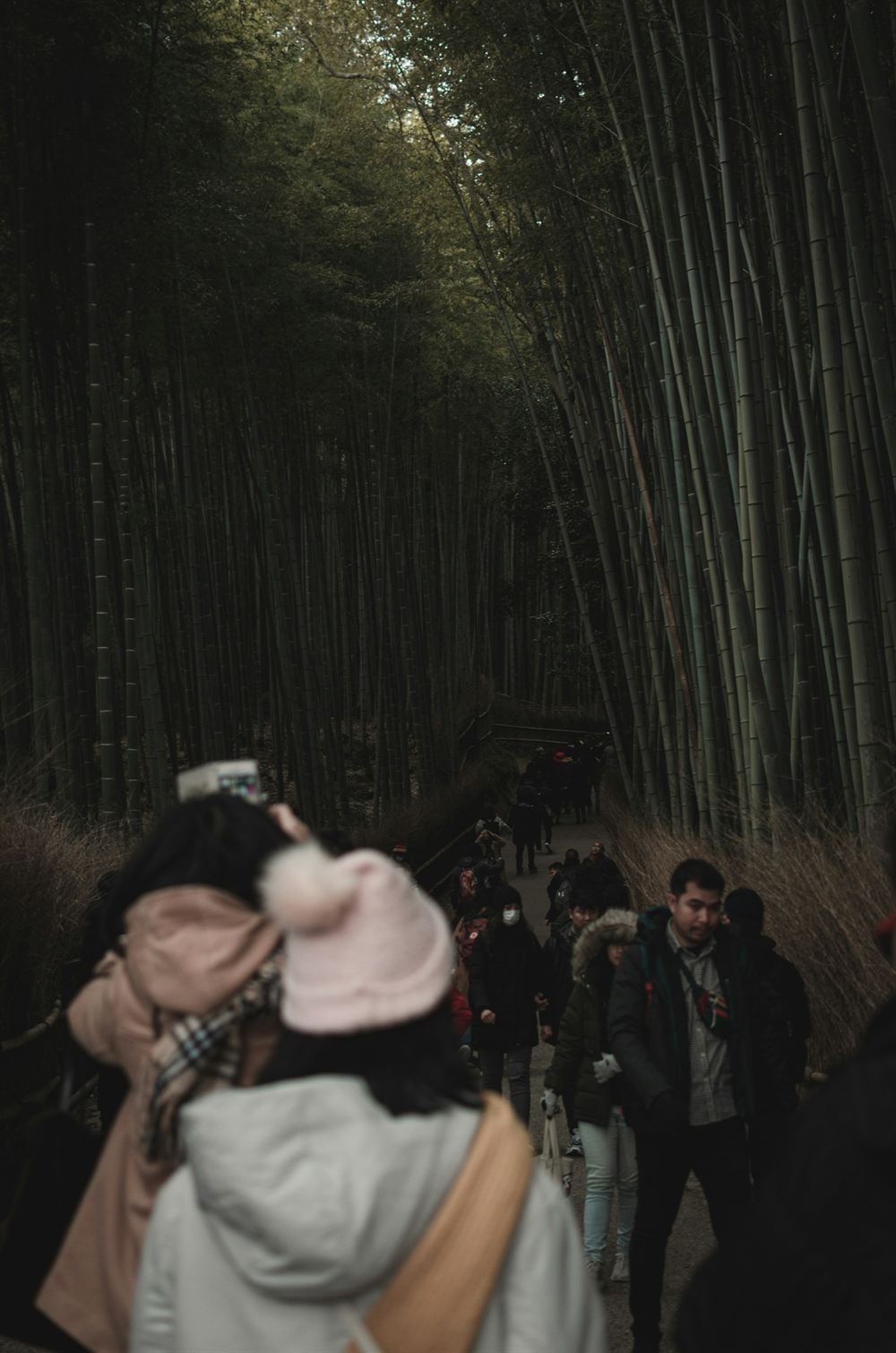 Inbound tourists visiting Arashiyama bamboo grove, Kyoto